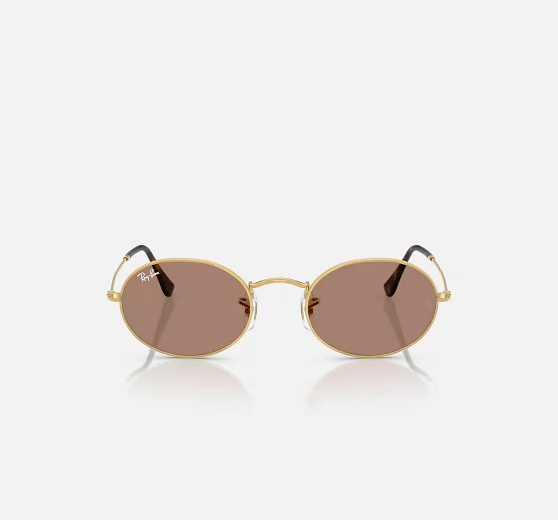 Ray_Ban