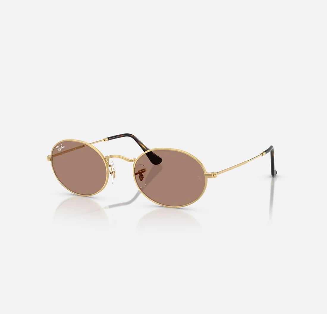 Ray_Ban